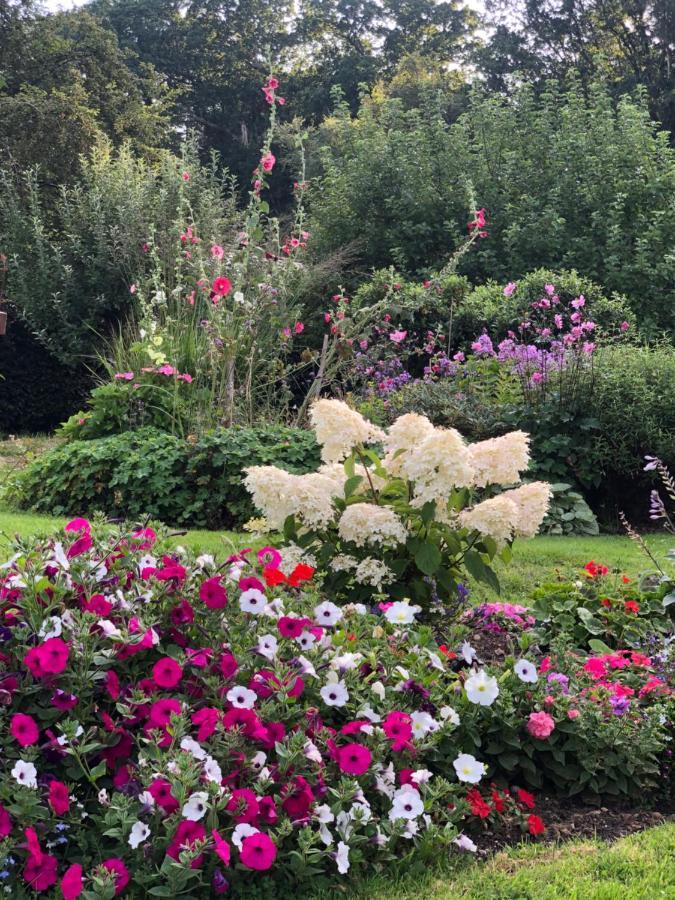 לינה וארוחת בוקר Verwood Chaseborough Farm מראה חיצוני תמונה