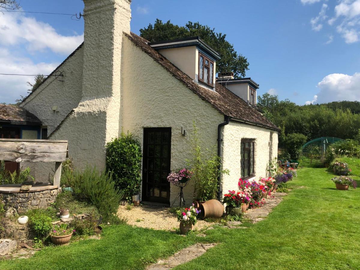 לינה וארוחת בוקר Verwood Chaseborough Farm מראה חיצוני תמונה