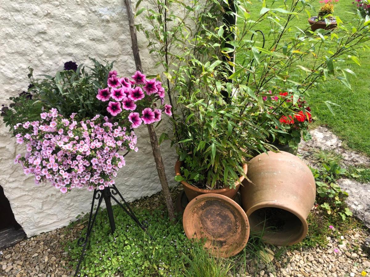 לינה וארוחת בוקר Verwood Chaseborough Farm מראה חיצוני תמונה